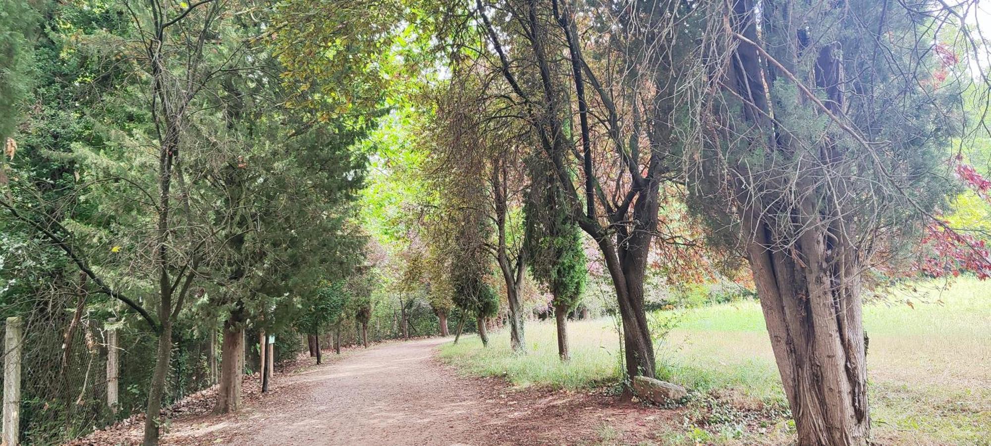 Piso Rural Sol Bergueda Apartment Avia Luaran gambar